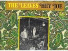 LEAVES: HEY JOE RARE GARAGE ORIGINAL  LP
