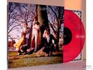 PINK FLOYD:LP-THE EMBRYO-VINILE ROSA