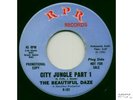 BEAUTIFUL DAZE. City Jungle. USA Garage 45.