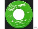 Rare 1967 MN psych 45 - CALICO WALL- Turtle
