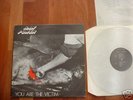 RAW POWER Y  ARE THE VICTIM ORIG LP HARDCORE