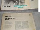 The Downliners Sect ..MONO LP ..The Sect