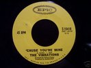 Northern Soul 45 THE VIBRATIONS on EPIC Cause Your Mine