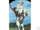 Tex Ritter  LP PICTURE DISC Rare  w/cover  PERFECT