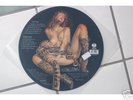 Metallica - Black Album -Picture Disc Vinyl LP 1 of 500