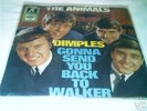ANIMALS -  DIMPLES - BEAT- ERIC BURDON - ALAN PRICE -7