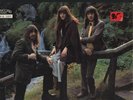 STRING DRIVEN THING LP UK Concord press Folk Prog