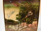 FLEETWOOD MAC STEVIE NICKS AUTOGRAPHED VINYL ALBUM