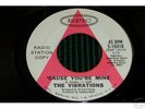 Northern Soul 45 THE VIBRATIONS Cause Your Mine PROMO