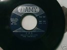 Rare Garage - The Haunted on Amy, Fuzz