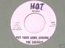 Northern Soul DJ 45 The Sherrys Put Your Arms Around Me