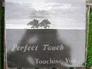 Perfect Touch - Super Rare Detroit Modern Soul LP