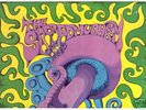 The Sacred Mushroom, First LP, Psychedelic 1969