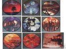NIGHTWISH - GOLDEN WISHES sehr rares Pic LP Set 