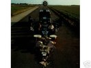 Pink Floyd - Ummagumma, Obscured by Clouds, The Wall