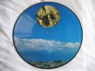 Porcupine Tree -  ALTAMONT  Mint Picture Disc