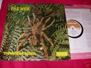 the WEB - Theraphosa Blondi - 'NR' 