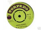 SKINHEAD MOONDUST Mint 45