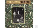THE LEAVES orig 1966 garage psych HEY JOE