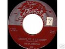  Doo Wop 45 The Flamingos on Parrot