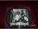 PINK FLOYD : FLOWERS & VEGETABLES (PICTURE DISC )