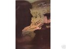 LP BEAU SELFTITLED 1969 PSYCH L K