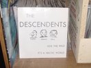 Descendents RIDE THE WILD Orig 7