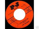 Excellent 1960s GA garage 45 - THE MALIBUS - PJ