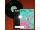 Screaming Trees - Clairvoyance LP on Velvetone Records