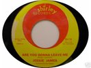 JESSIE JAMES - Rare Northern Soul 45 on SHIRLEY-119