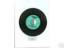 Rare Surf 45- The Crossfires- Fiberglass Jungle- Capco