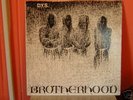 DYS BROTHERHOOD lp X-CLAIM MINT kbd punk OOP ssd sXe