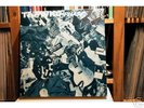 THE WHO - PHASES           rare 9 - LP - Box