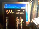 P205 - VIVAT ORIG M-/M- HYPER RARE GERMAN PROG PSYCH