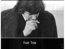 Fruit Tree 4-LP Box Set of Nick Drake's Recordings