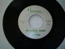 THE FI DELS TRY A LITTLE HARDER 45 NORTHERN SOUL KEYMAN