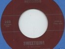 THINGS TO COME Sweet Gina RARE FUZZ GARAGE 45