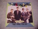 The Wonders  That Thing You Do - Rare Picture Sleeve 45
