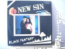 NEW SIN 12