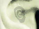 Global Communication: 76:14 Limited 2 x Vinyl plus 12