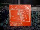 ZAPPA IN NEW YORK 12