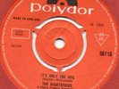 THE NIGHTRIDERS*IT'S ONLY THE DOG*FREAKBEAT*MOD*45