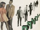 giant LP:DANDY-rock steady with dandy