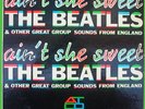 The Beatles LP AIN'T SHE SWEET ATCO 33-169M PROMO