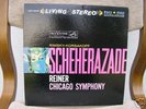 LSC 2446, Scheherazade / shaded dog 1S/1S
