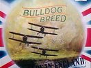 BULLDOG BREED MADE IN ENGLAND DERAM NOVA PSYCH PROG