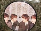 Beatles vinyl records - picture single