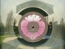 COIL +++ clear Vinyl LP +++  Horse Rotorvator