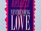 ROXETTE Neverending Love - Remixes GER 12