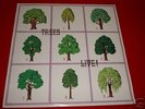 TREES UK psych Folk Live LP ( on the shore)